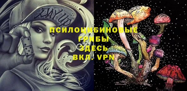 мяу мяу кристалл Богданович