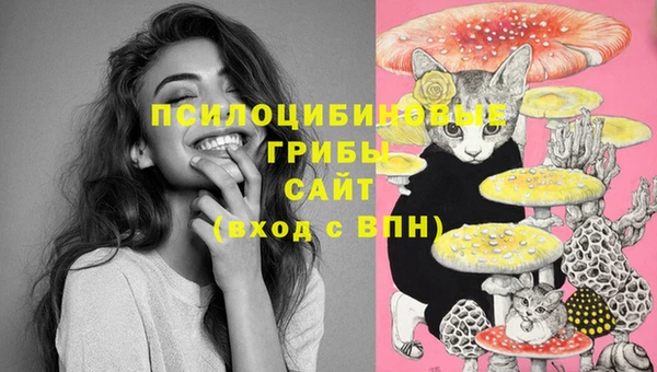 PSILOCYBIN Переславль-Залесский