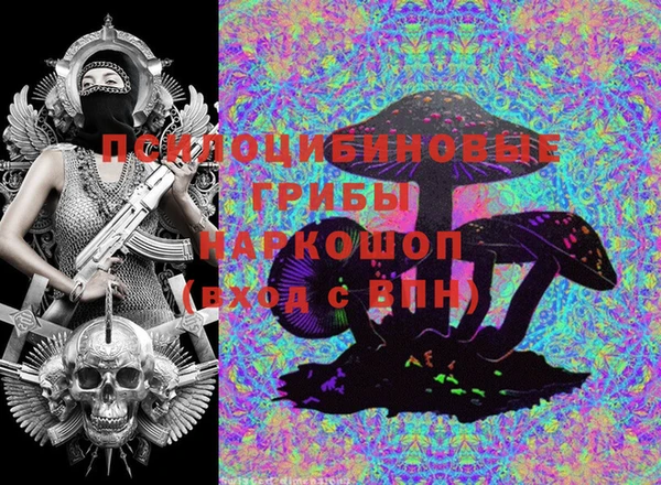 гидропоника Медногорск