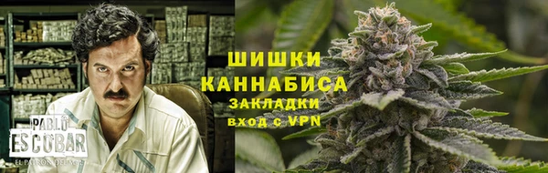 гидропоника Медногорск