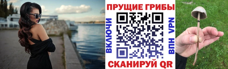 магазин наркотиков Нолинск Галлюциногенные грибы Psilocybine cubensis